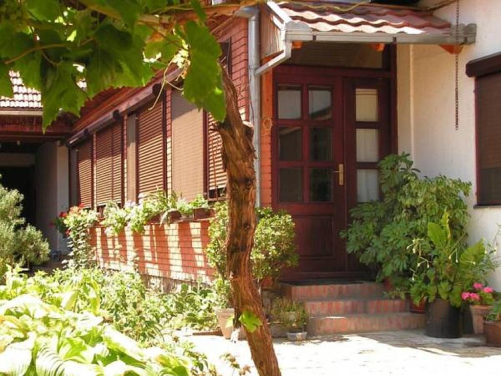 Sobe Gajic سرمسكي كارلوفيتش الغرفة الصورة