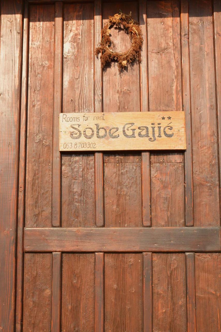 Sobe Gajic سرمسكي كارلوفيتش المظهر الخارجي الصورة